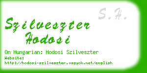 szilveszter hodosi business card